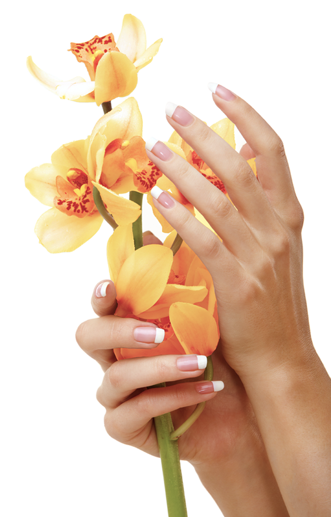 Hand with flower - Grand Nail Spa